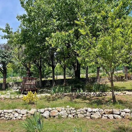 Дом отдыха Marchionni *